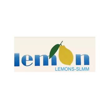 Shenzhen Lemons Slmm Technology Co., Ltd.